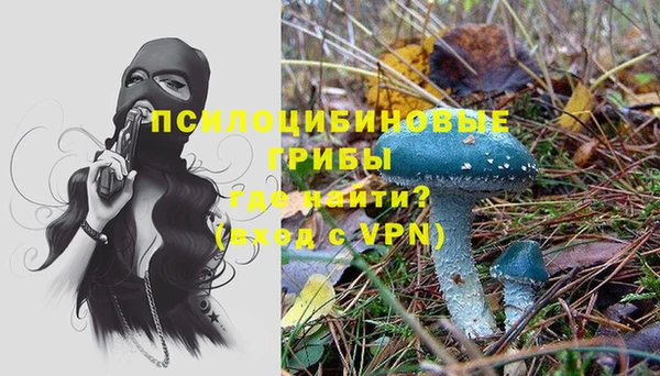 mdpv Белокуриха