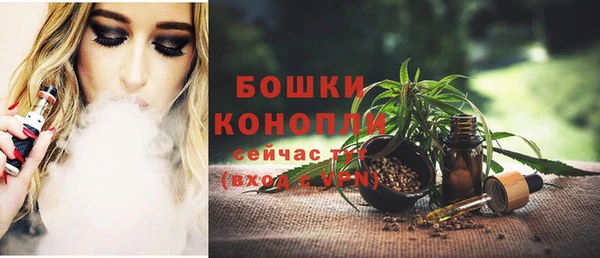 mdpv Белокуриха